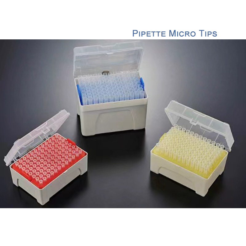 Disposable Micro Pipette Tips for Laboratory Test Sterilized Filter Pipette Tips