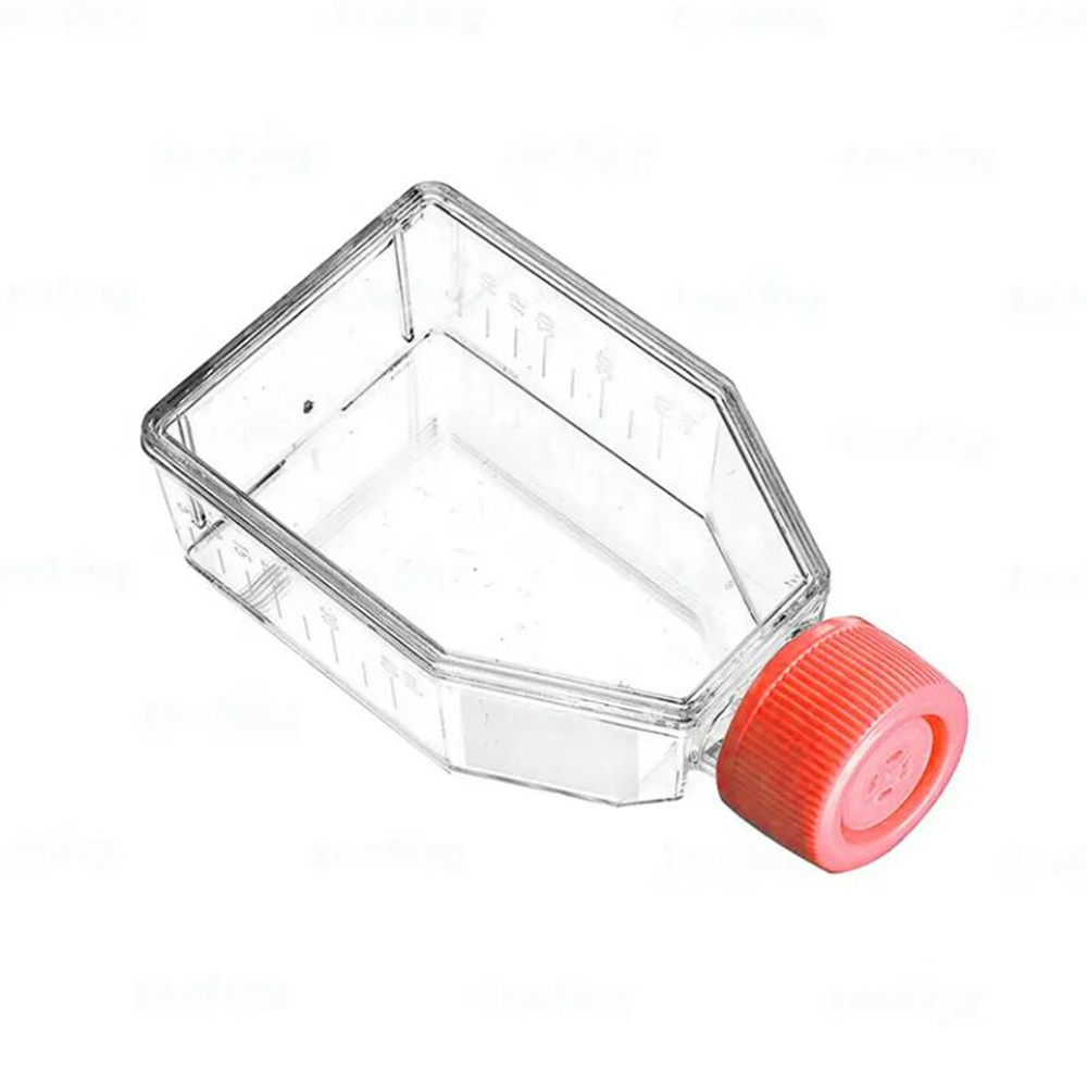 Sale 225cm2 Tc Vented Cell Culture Flask in Sterile Sealed Bag