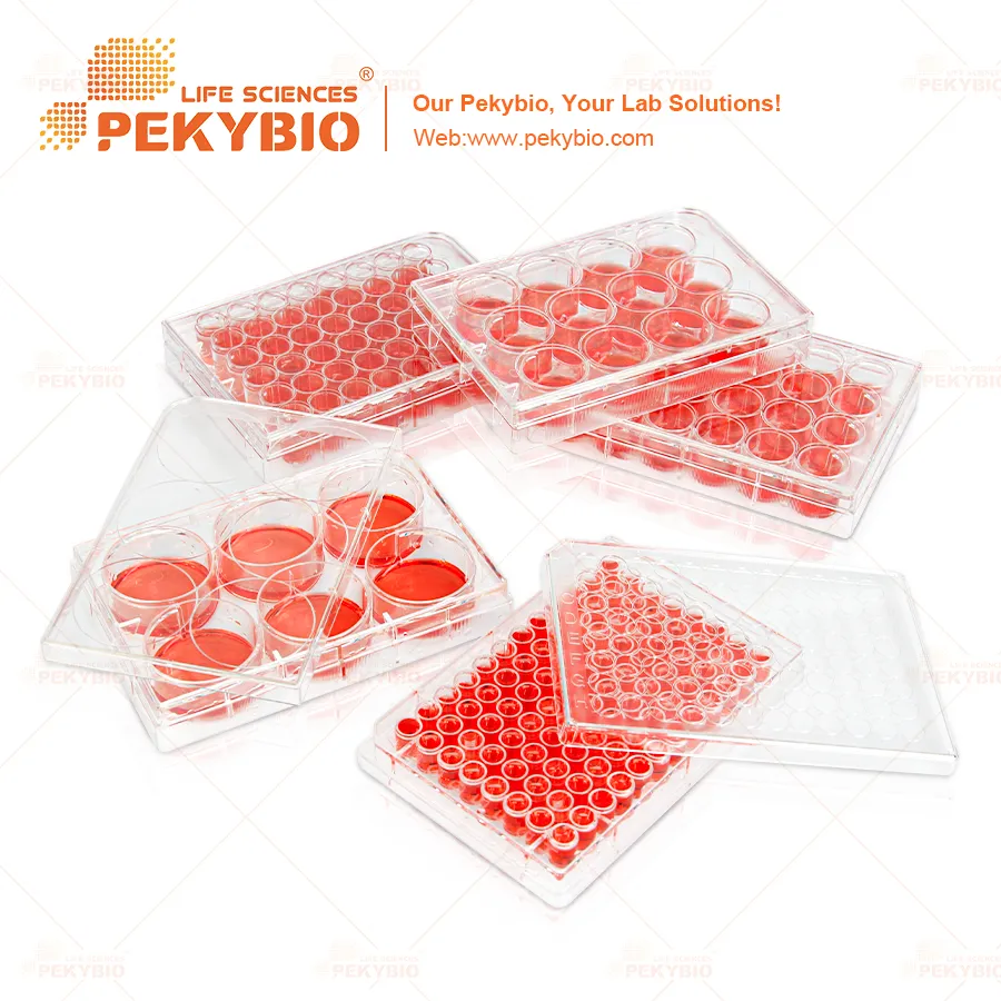 Laboratory Consumables 2