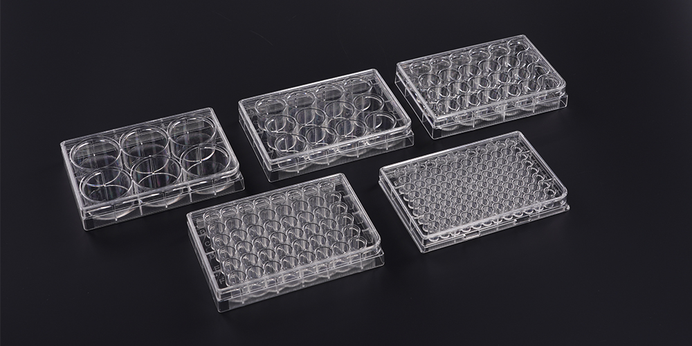 Laboratory Use Flat Bottom Tc-Treated Polystyrene Clear Multi-Well Cell Culture Plate