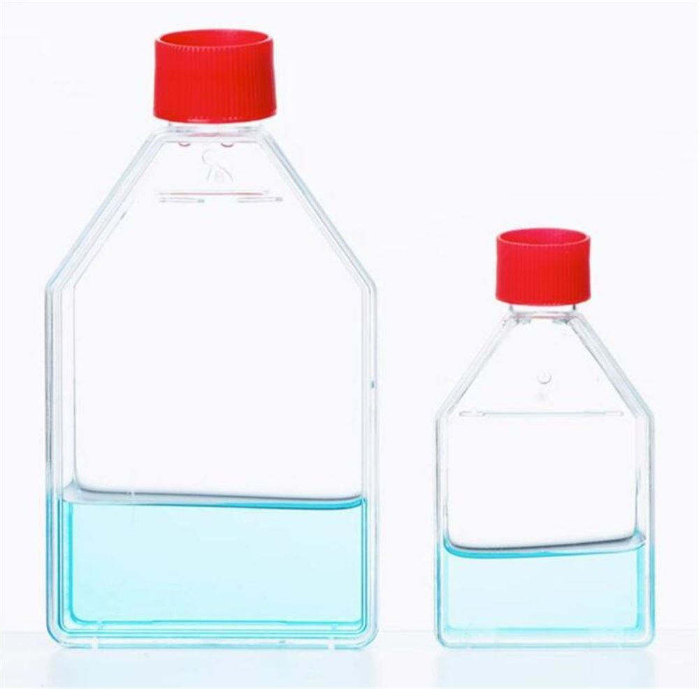 Sale 225cm2 Tc Vented Cell Culture Flask in Sterile Sealed Bag