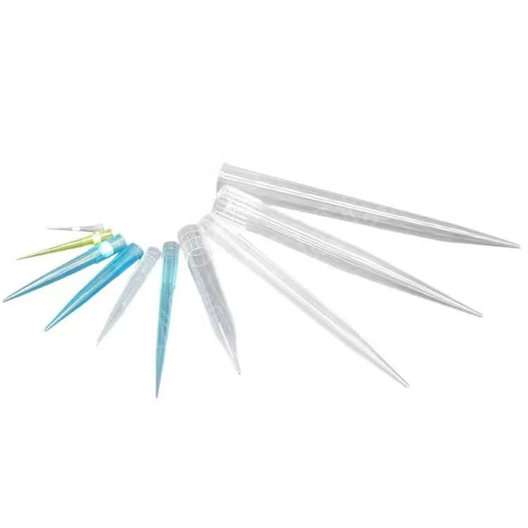 Laboratory Disposable Plastic Sterile Filter DNA Rna Free 10UL 200UL 1000UL 1250UL Pipette Tip