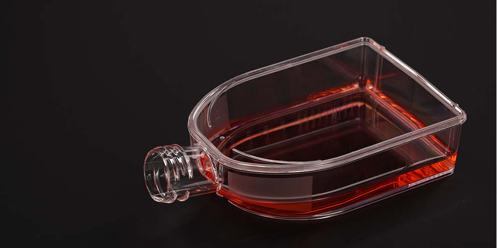 Disposable Regular U-Shaped Bottle Laboratory Cultivation Vessel 25 75 175 Cell Culture Flask