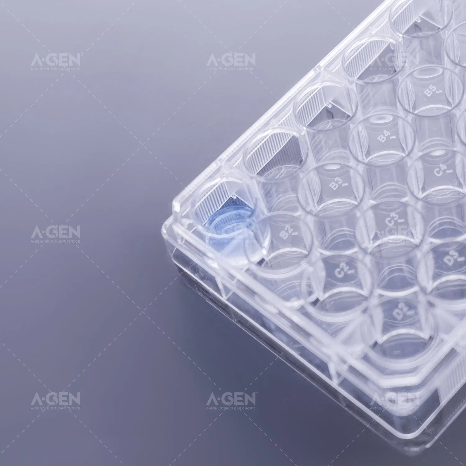 Wholesale Laboratory Disposable Plastic Lab PS Multi-Well Flat Bottom 24 Well Cell Culture Plate
