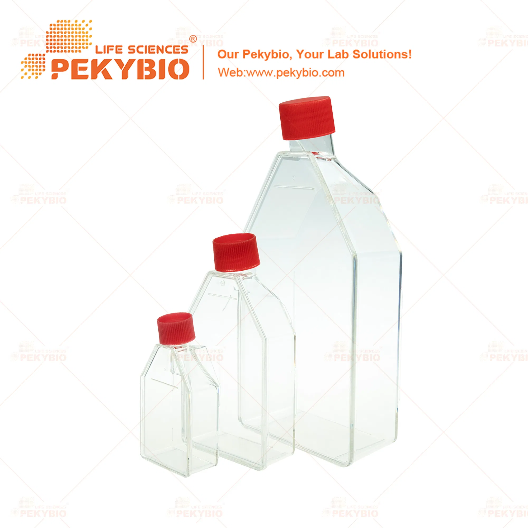 T75 Cell Culture Flask for Enhanced Cell Cultivation