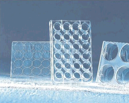 Lab Consumables Multi Well Plate 6-48wells