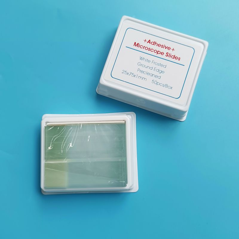 Laboratory Glass Microscope Slide Positive Charged