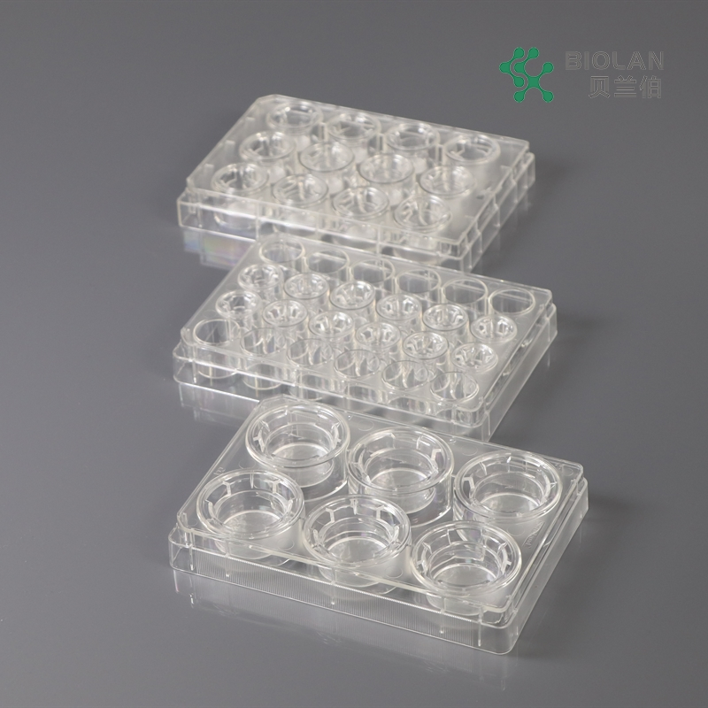 Bioland Cell Culture Inserts in Multi-Well Plates 0.4 3, 5 and 8um