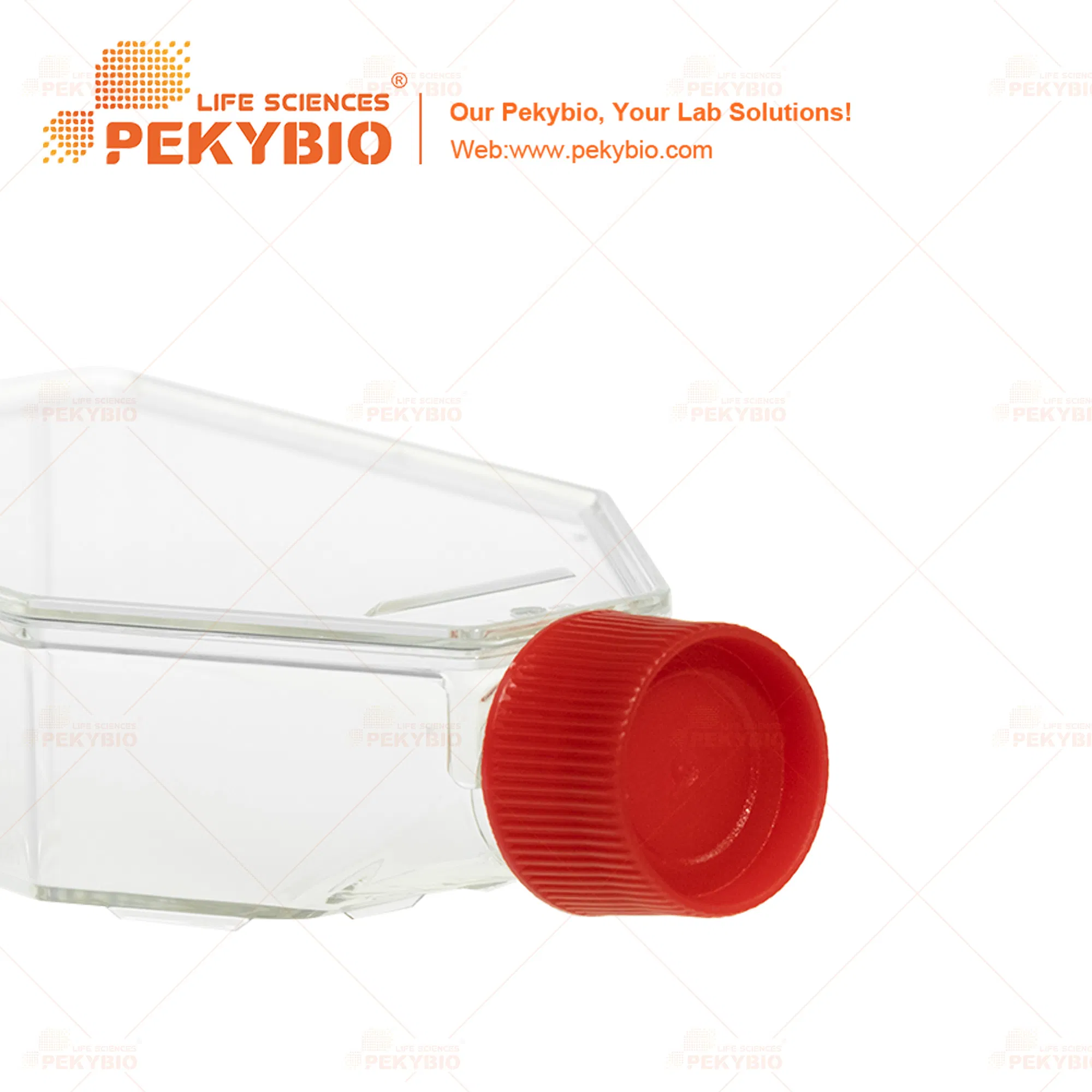 E-Beam Sterile Cell Culture Flask for Laboratories