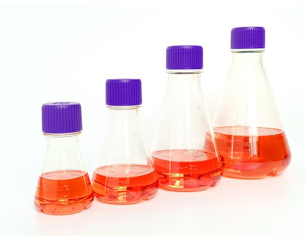Cell Culture Flask for Lab Use