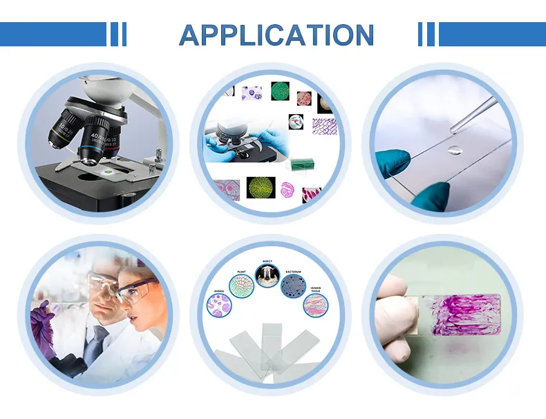 Microscope Slide Set 6