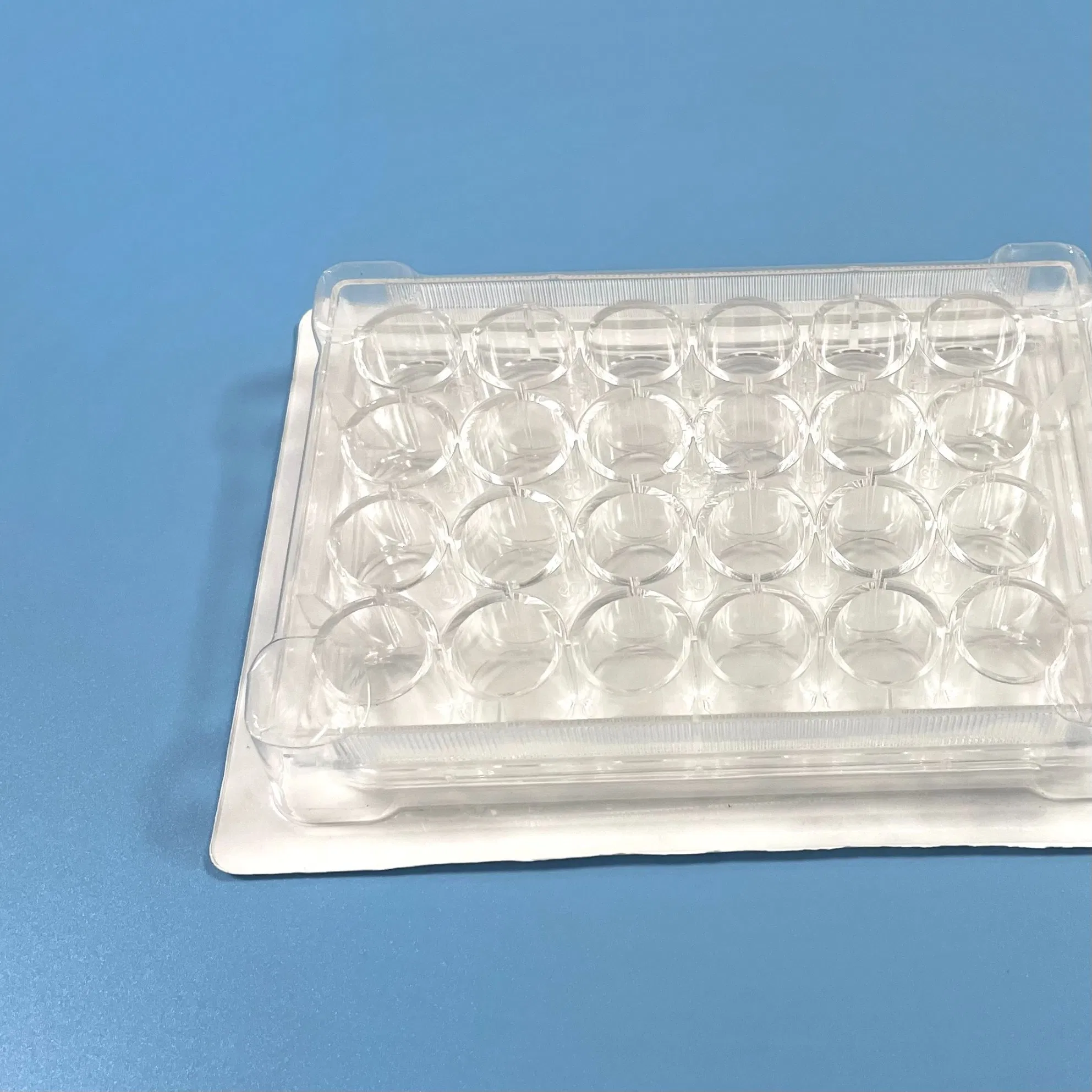 Plastic Seed Multi-Well Cell Culture Plates 24 Well Tissue Culture Plate
