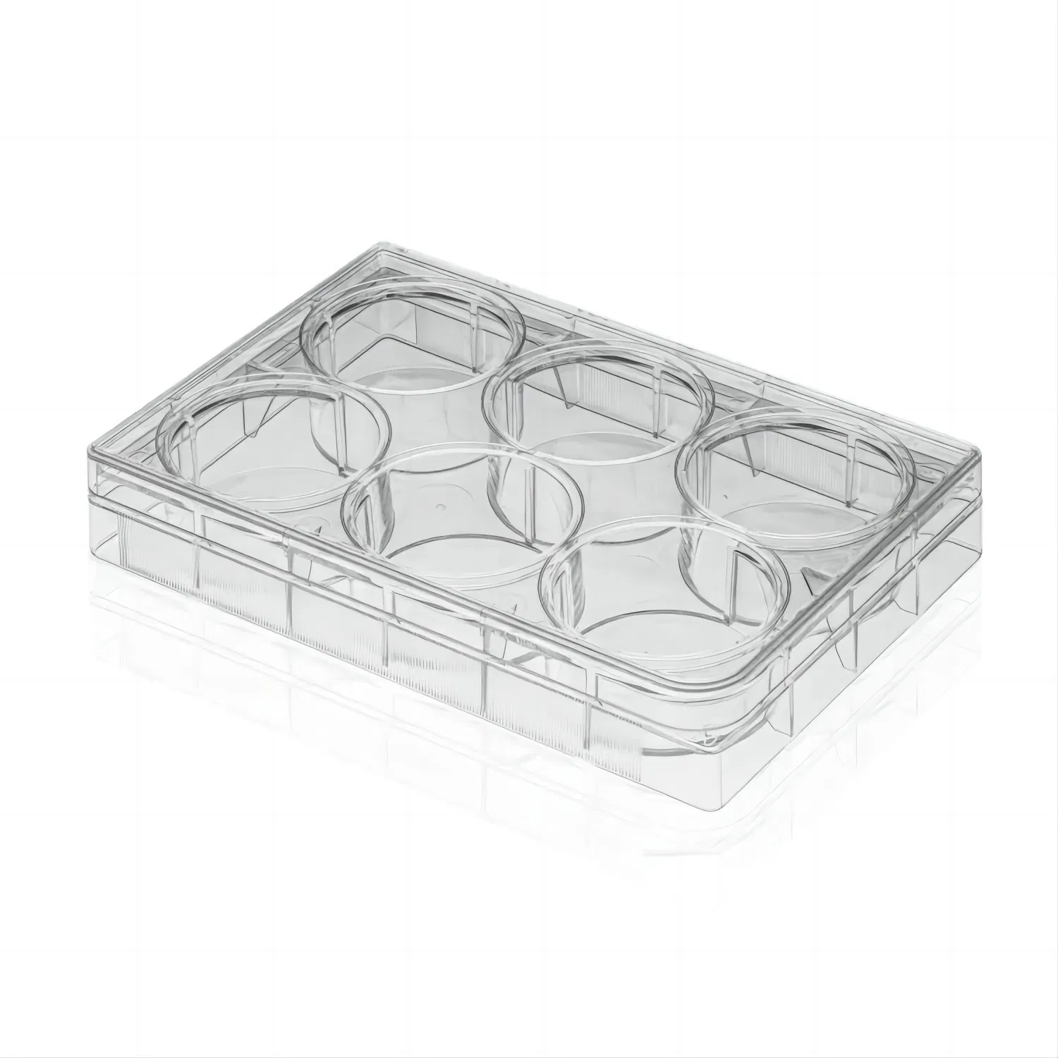 Cellpro Multi Well Plate 48 Well Cell Culture Plate Tissue Culture Treated Flat Bottom