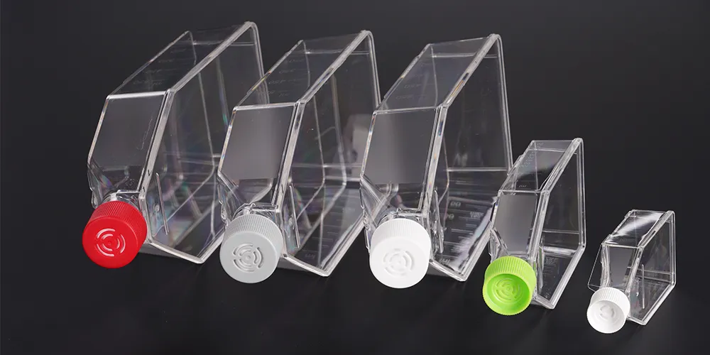 Cell Culture Flask Overview