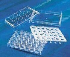 Lab Consumables Multi Well Plate 6-48wells