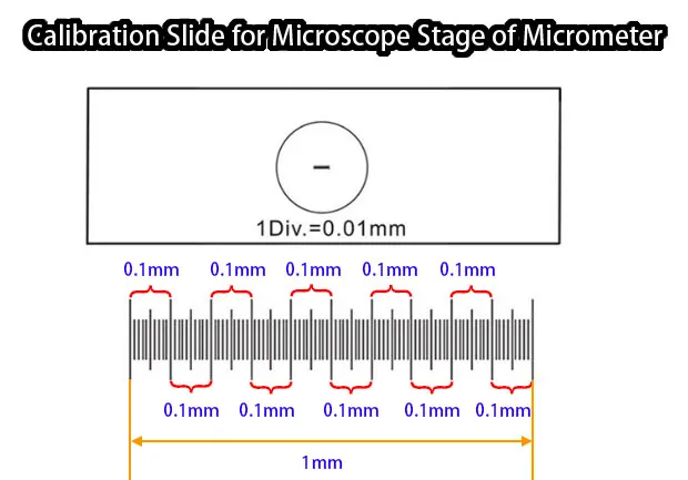 Measurement Calibration Slide