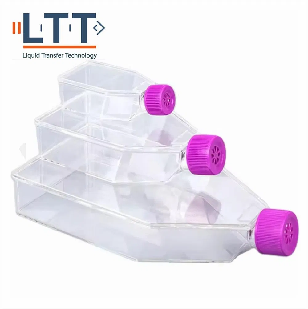 Cell Culture Flask View 5