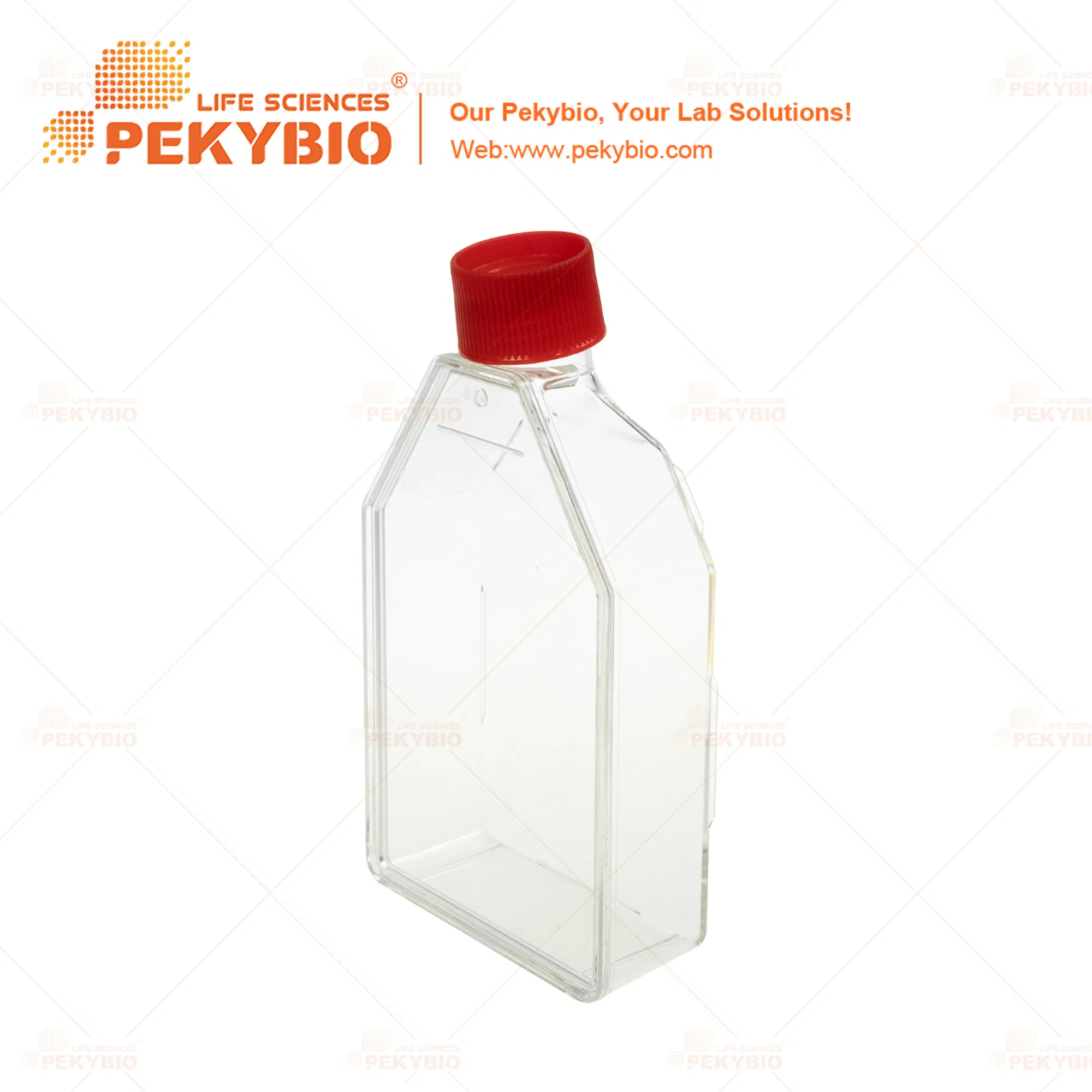 T75 Cell Culture Flask for Enhanced Cell Cultivation