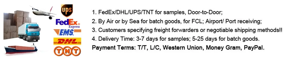 Microscope Slides Detail 3