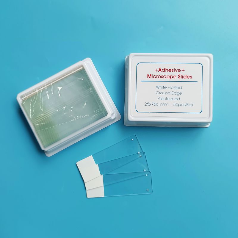 Laboratory Glass Microscope Slide Positive Charged