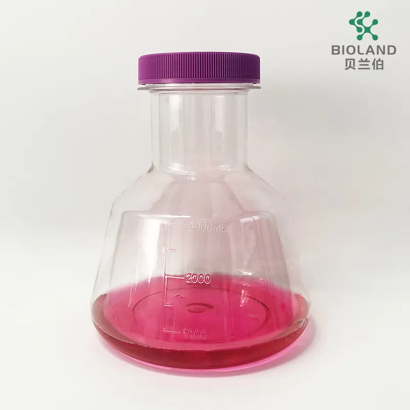 Erlenmeyer Flask View 1