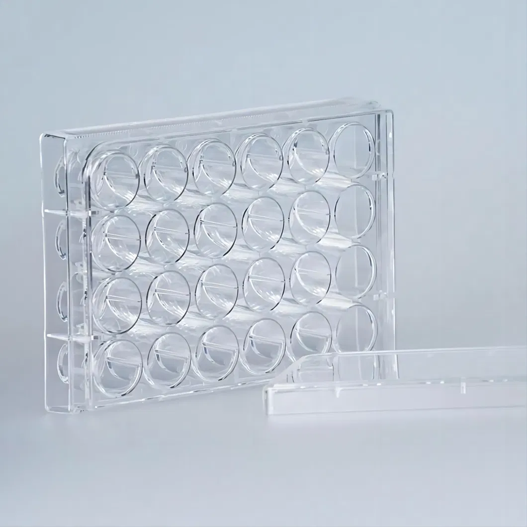 Cell Culture Plate 3