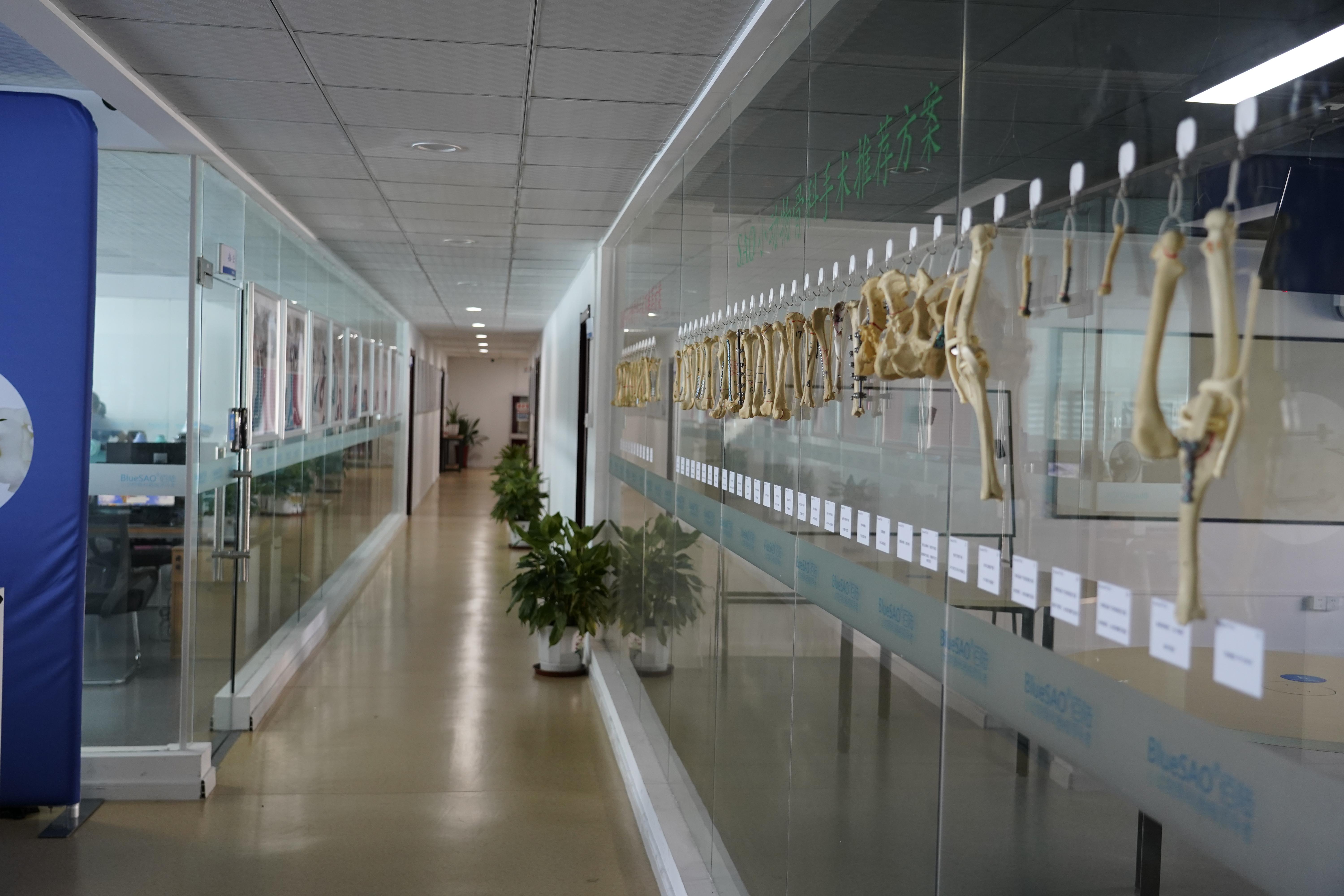 Company activities 3