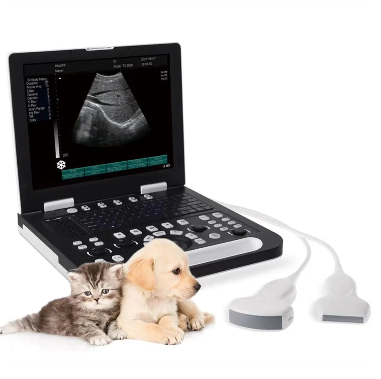High Quality Portable Veterinary Ultrasound Scanner 15 Inch LED Screen Ultrasound Scanner Price