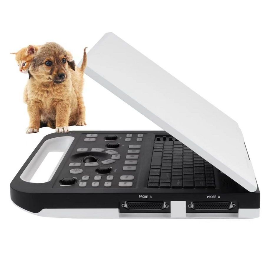 High Quality Portable Veterinary Ultrasound Scanner 15 Inch LED Screen Ultrasound Scanner Price