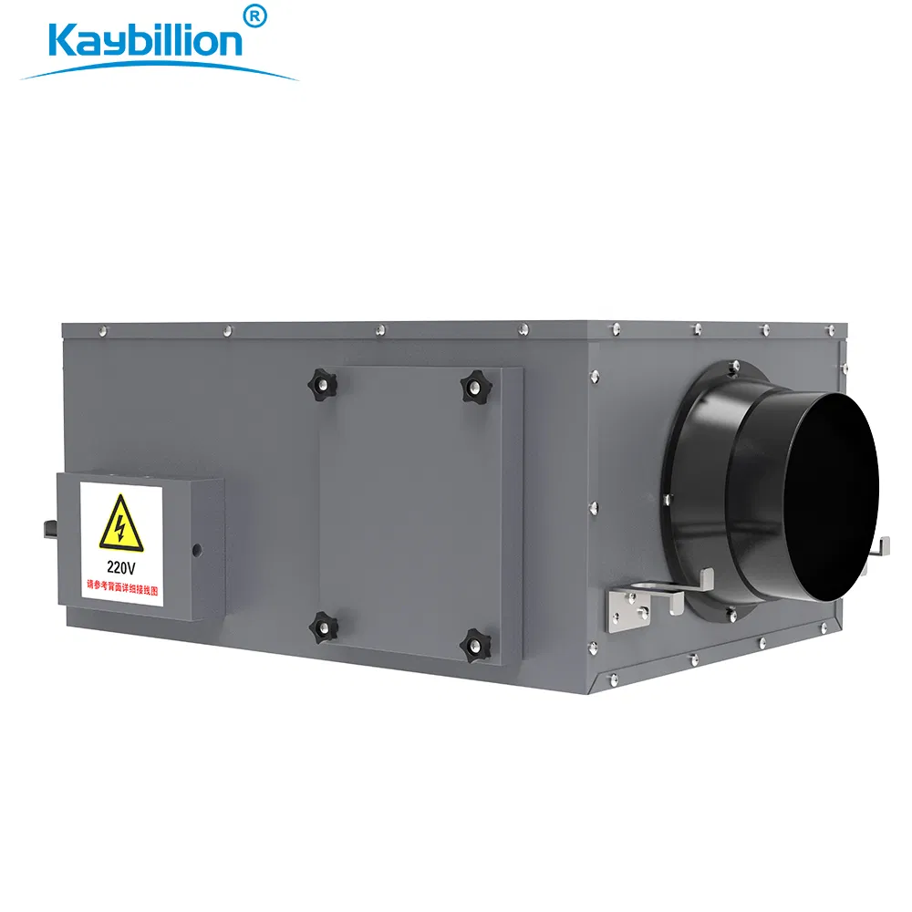 Air Ventilation System Fresh Air Ventilator with Purification Device OEM