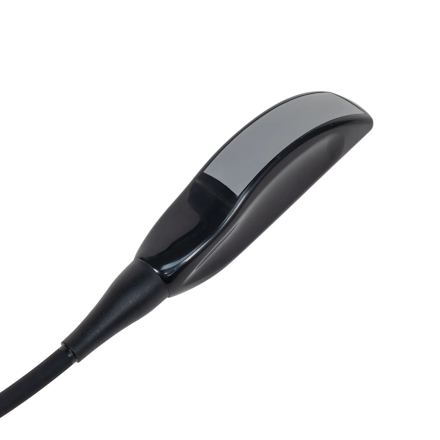 Bxi-V10 III Budget-Friendly Handheld Veterinary Ultrasound Scanner