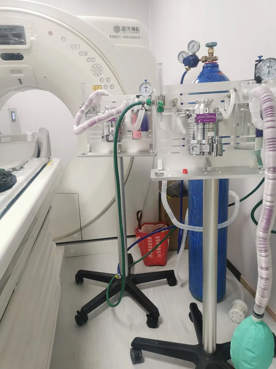 Professional Veterinary Setup