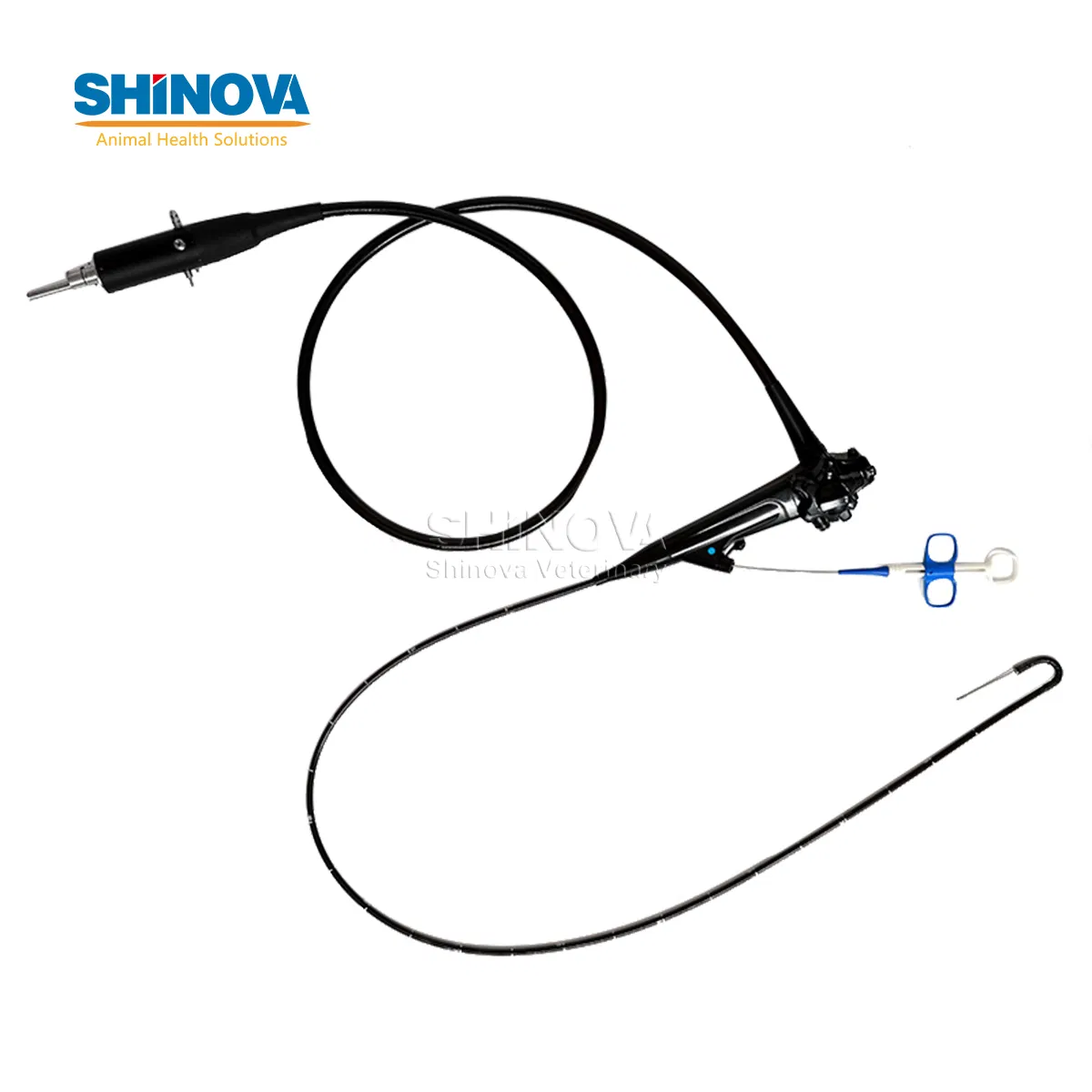 1500mm Endoscope Pet Gastroscopy Veterinary Endoscope for Veterinary Clinic &amp; Hospitals