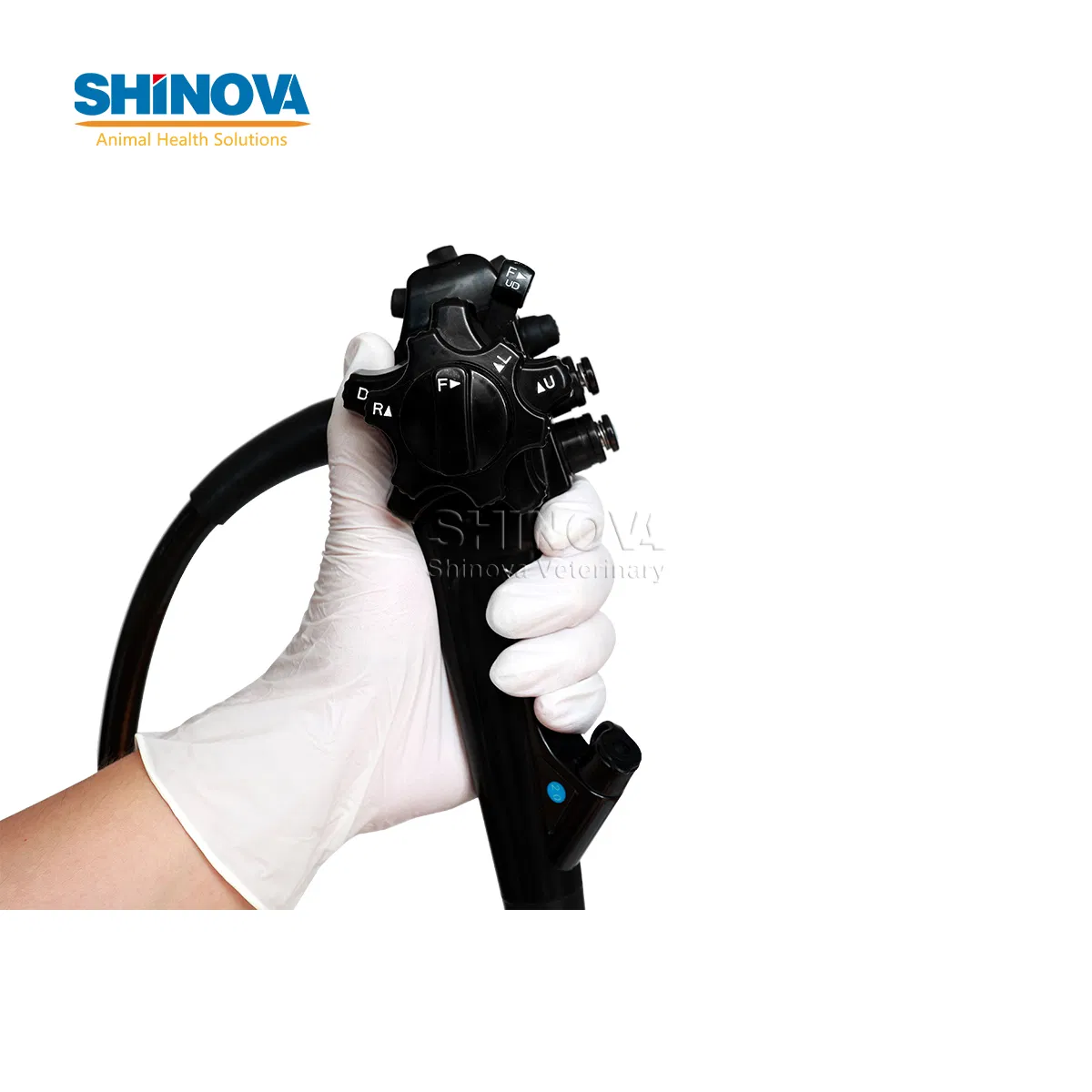 1500mm Endoscope Pet Gastroscopy Veterinary Endoscope for Veterinary Clinic &amp; Hospitals