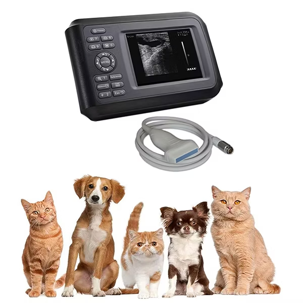 Vet Ultrasound Scanner Veterinary Portable Ultrasound Machine Scanner Handheld Bw Ultrasound Machine