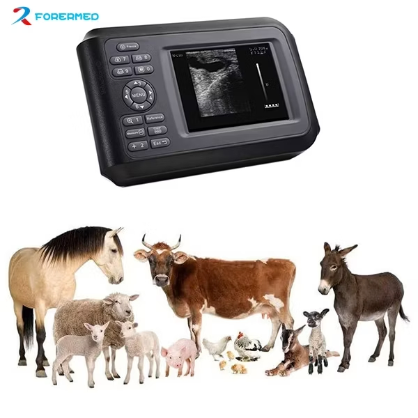 Vet Ultrasound Scanner Veterinary Portable Ultrasound Machine Scanner Handheld Bw Ultrasound Machine