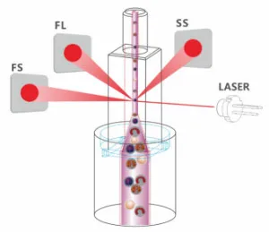 Measurement Principles