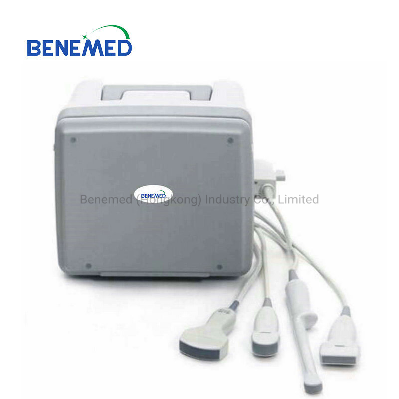 Portable B/W Ultrasound Scanner with Clear Image Quality