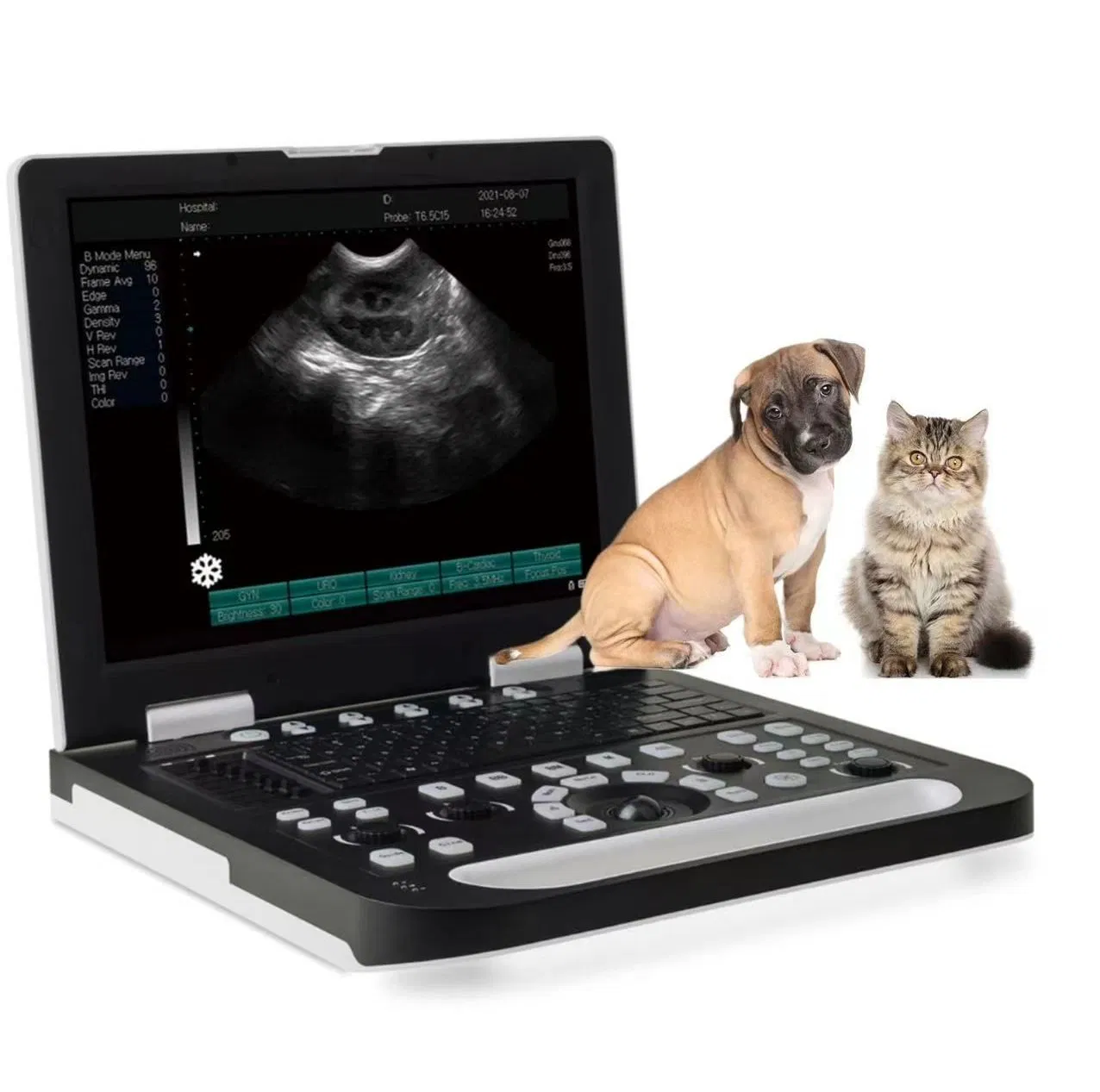 High Quality Portable Veterinary Ultrasound Scanner 15 Inch LED Screen Ultrasound Scanner Price