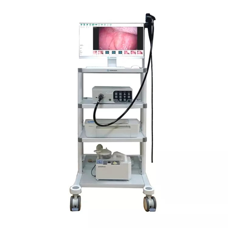 Medical Hospital Hot Sale HD Operation Video Endoscopy Tower Digital Video Gastroscope Colonoscope Endoscope
