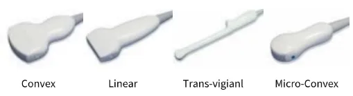 Ultrasound Probes
