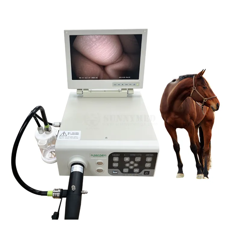 Veterinary Endoscope Processor