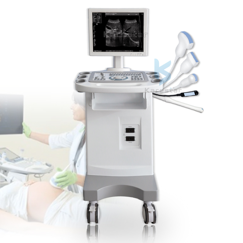 Best Price CE Trolley Ultrasound Scanner Clinic Human Ultrasound Device
