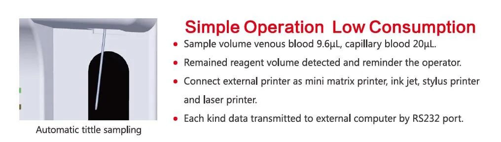Analyzer Interface Detail