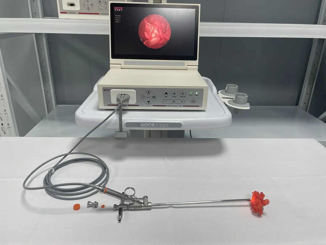 Rigid Digital Video Nephroscope Detail 1