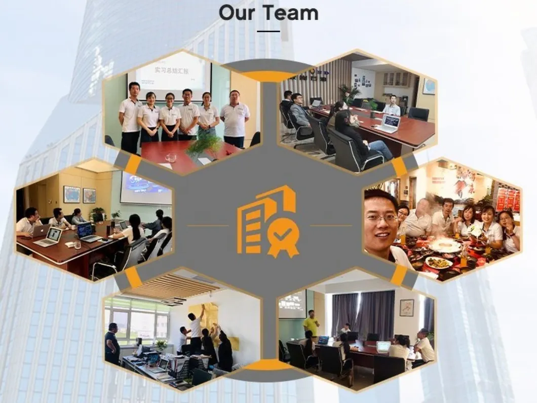 International Cooperation