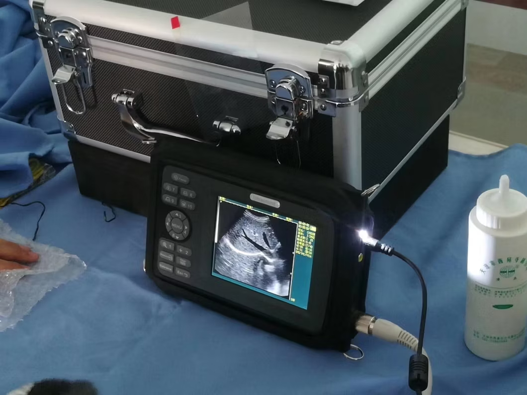 Vet Ultrasound Scanner Veterinary Portable Ultrasound Machine Scanner Handheld Bw Ultrasound Machine
