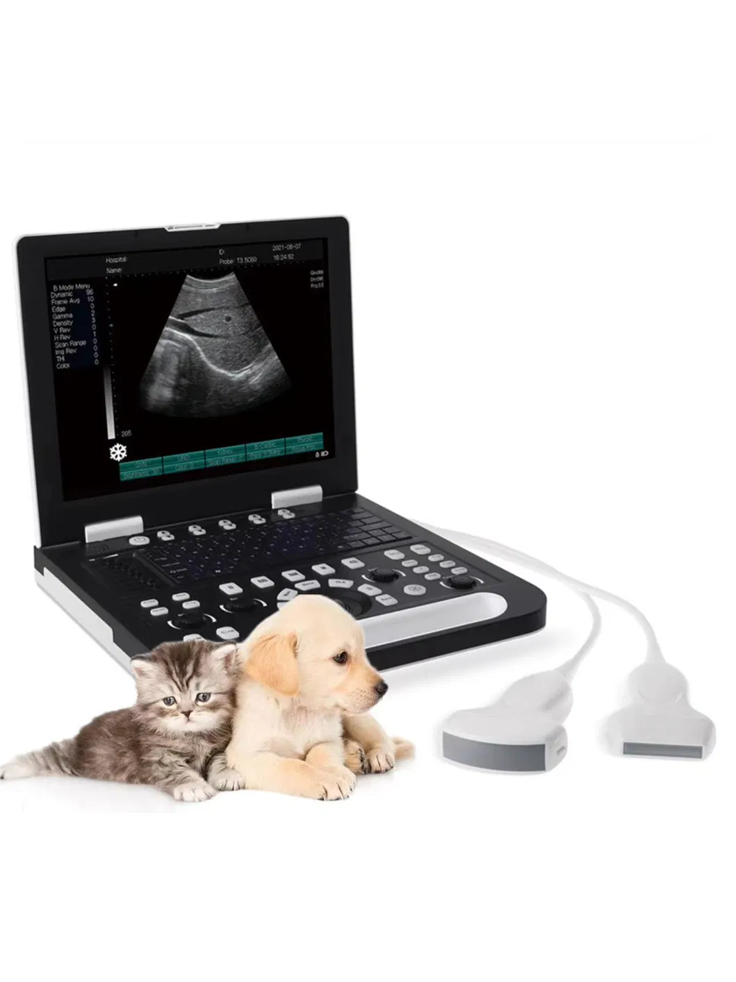 Veterinary Ultrasound Scanner