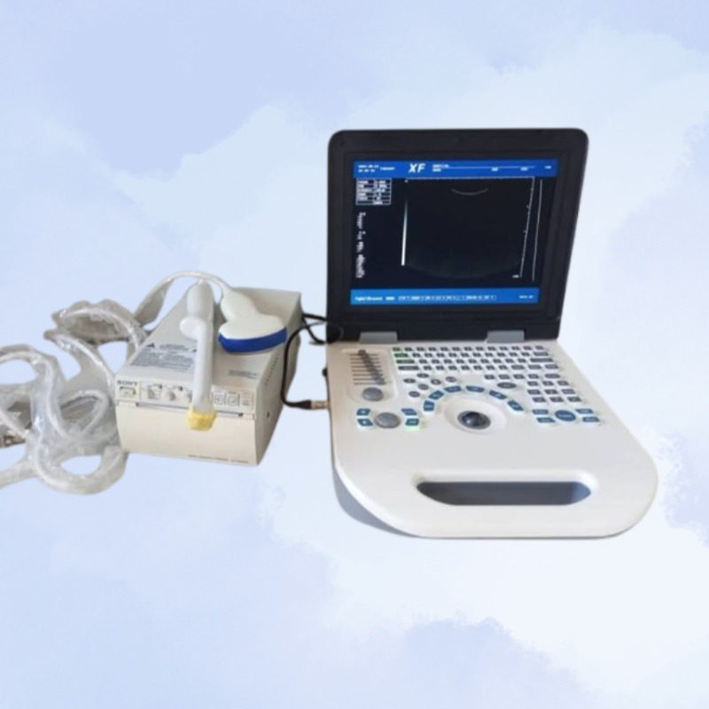 Animals Pregnancy Machine/ Laptop Veterinary B/W Ultrasound Scanner
