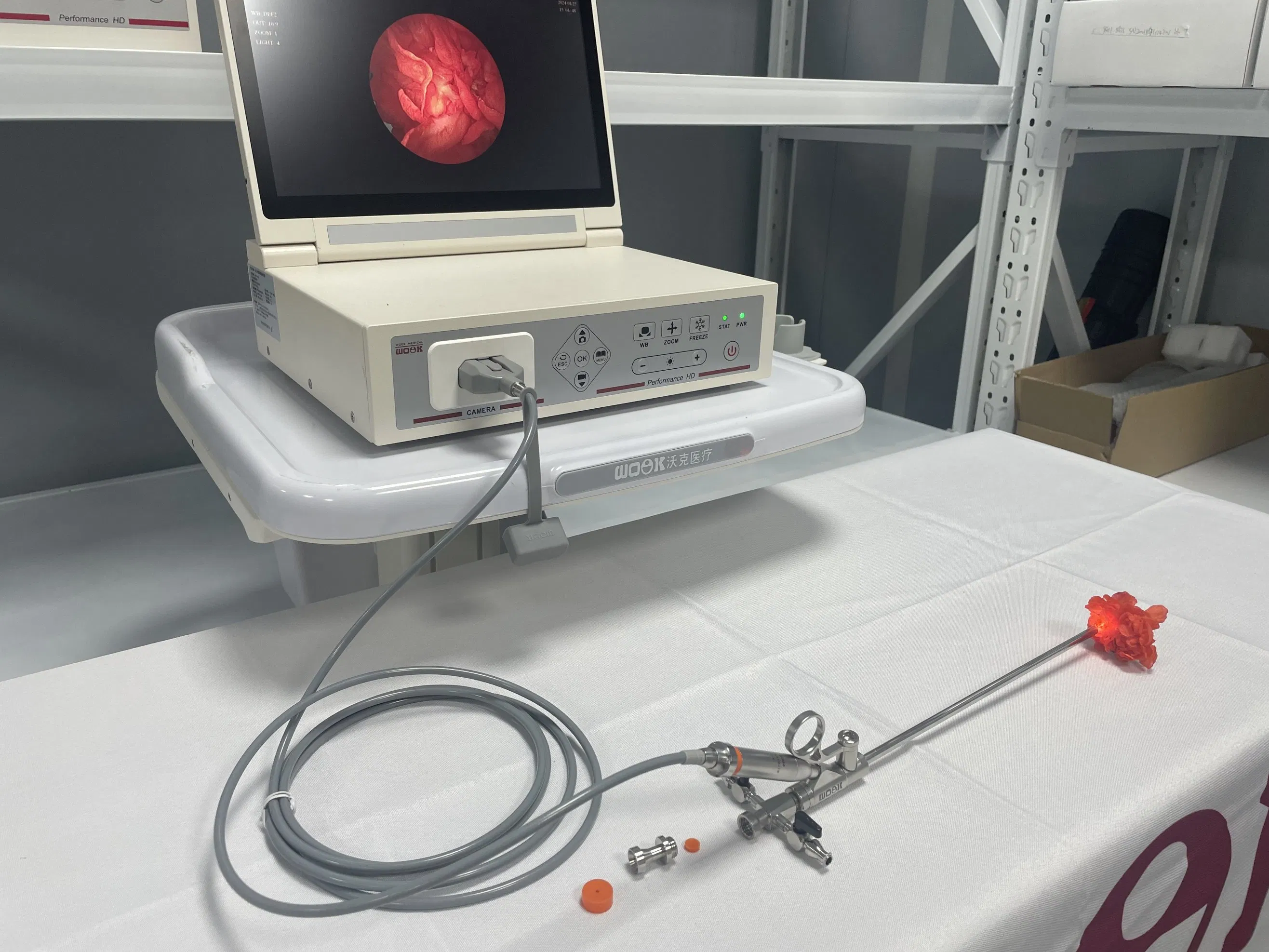 Rigid Digital Video Nephroscope Nephroscopy Percutaneous Nephrolithotomy Endoscope